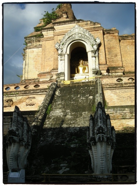 Wat Chedi Luang bouddha