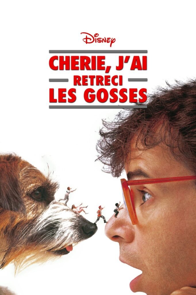 Affiche de film citée en clin d'œil dans l'article
